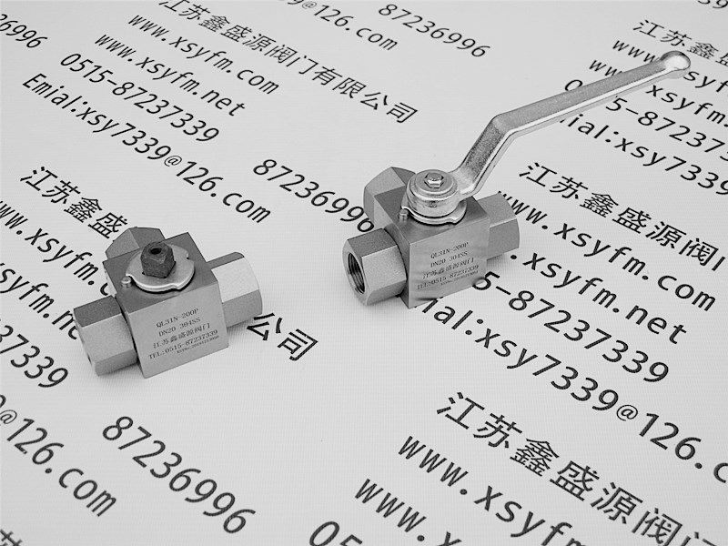 温州龙湾不锈钢丝扣球阀厂_塑料球阀厂_球阀制造厂