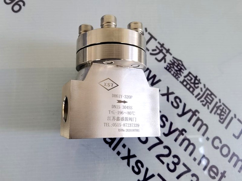 不锈钢高压止回阀.jpg